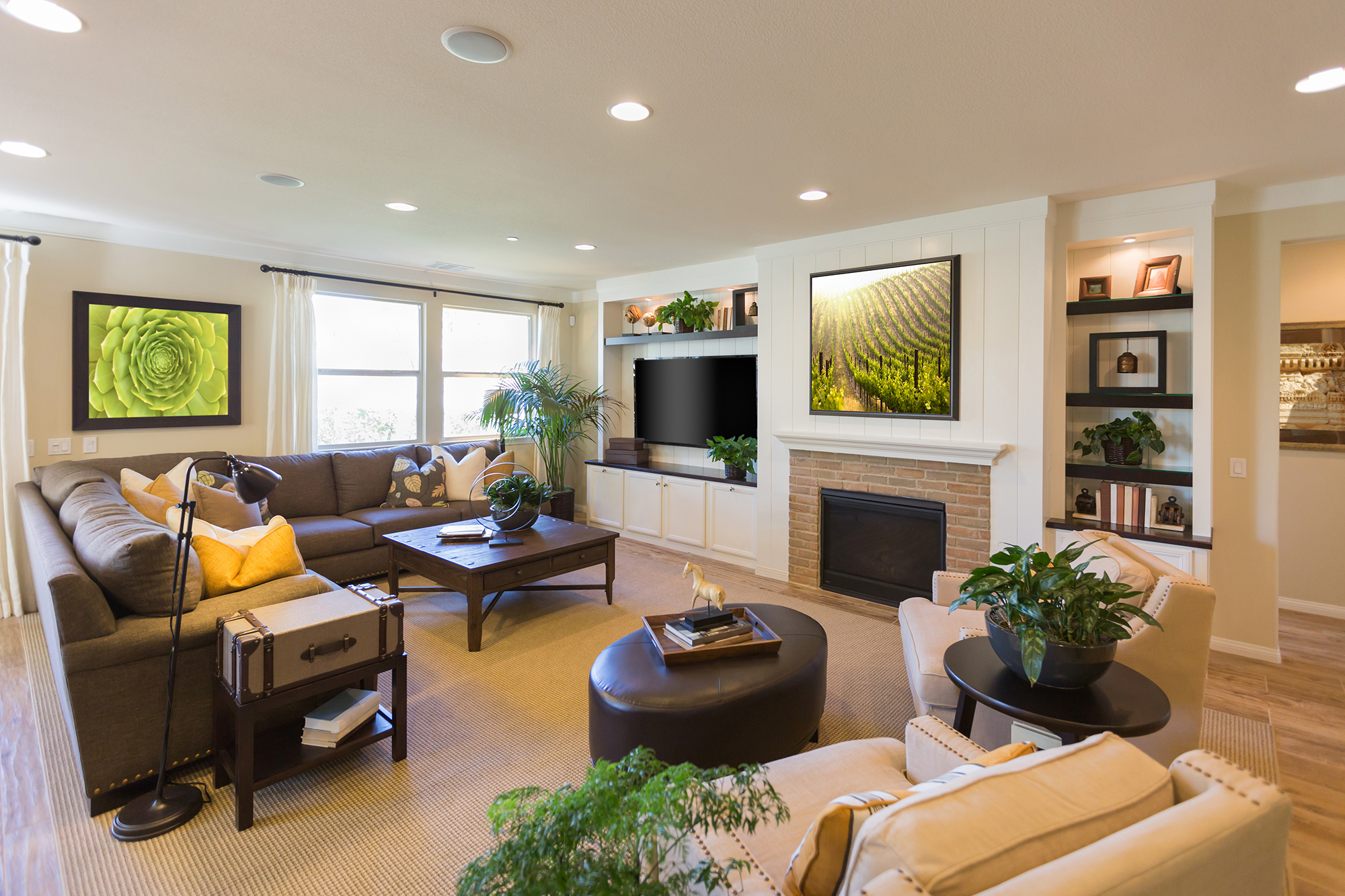 Living Room seating